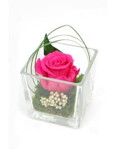 Cube déco rose éternelle Rose nature