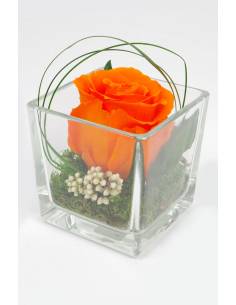 Cube déco rose éternelle Orange nature
