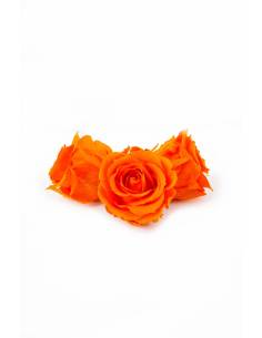 Bouton de rose stabilisée Orange x 1