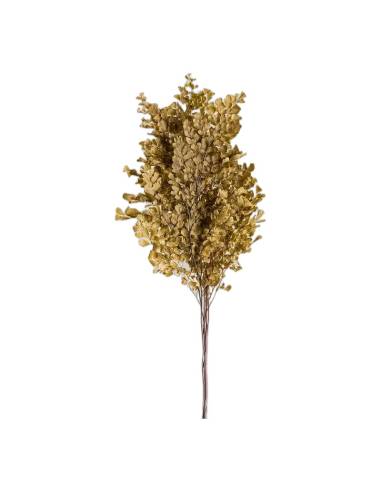 Fougère lutti stabilisée vert olive