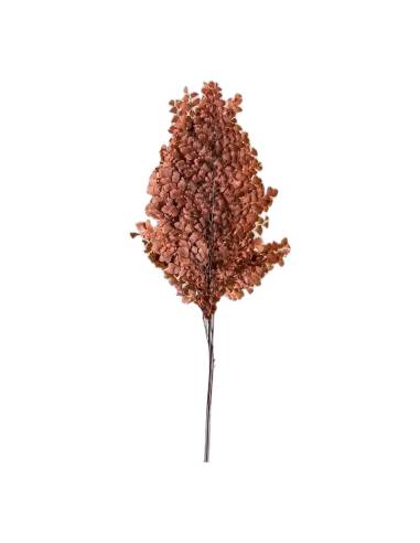 Fougère lutti stabilisée orange