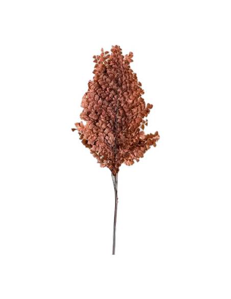 Fougère lutti stabilisée orange