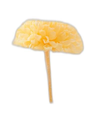 Chrysanthèmes stabilisés, boîte de 12 têtes, photo 3 sur 15