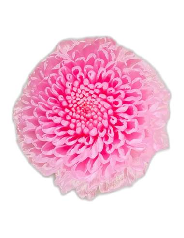 Chrysanthèmes stabilisés, boîte de 12 têtes, photo 4 sur 15