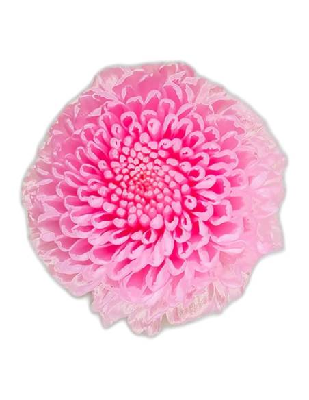 Chrysanthèmes stabilisés, boîte de 12 têtes, photo 4 sur 15