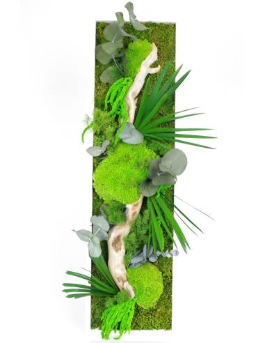 Tableau végétal stabilisé slim M
