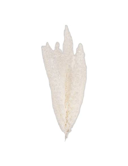 Botte de lagurus stabilisé blanc, épis duveteux queue de lièvre