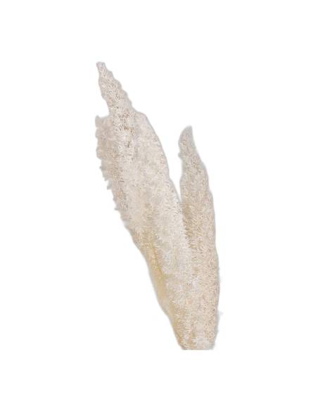 Lagurus stabilisé blanc, détail des épis duveteux