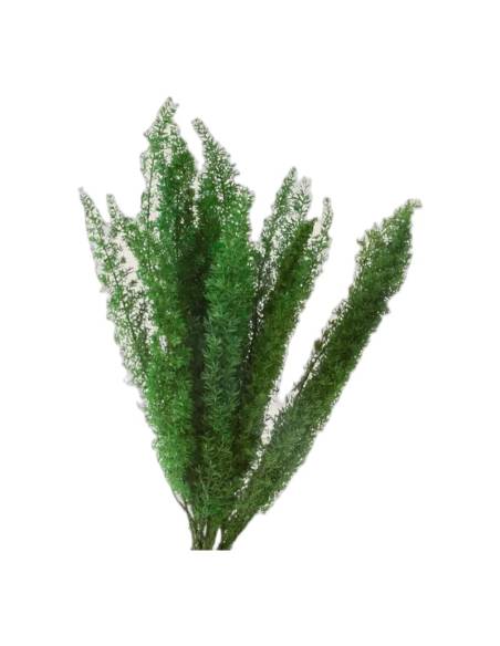 Botte de lagurus stabilisé vert, épis dressés