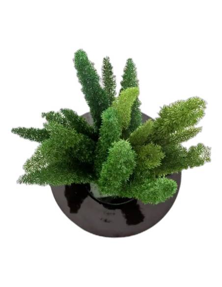 Lagurus stabilisé vert planté dans un pot noir