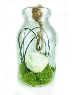 Suspension Bottle S rose Blanche
