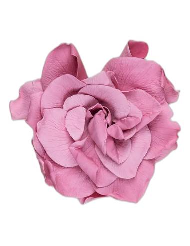 Tête de gardénia stabilisé fleur de cerisier, rose clair, vue de dessus