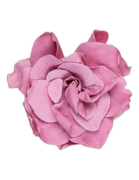 Tête de gardénia stabilisé fleur de cerisier, rose clair, vue de dessus