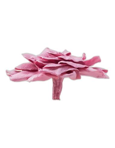 Tête de gardénia stabilisé fleur de cerisier vue de profil