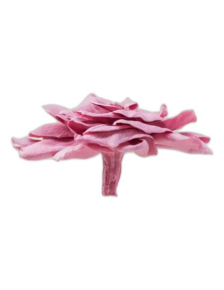 Tête de gardénia stabilisé fleur de cerisier vue de profil