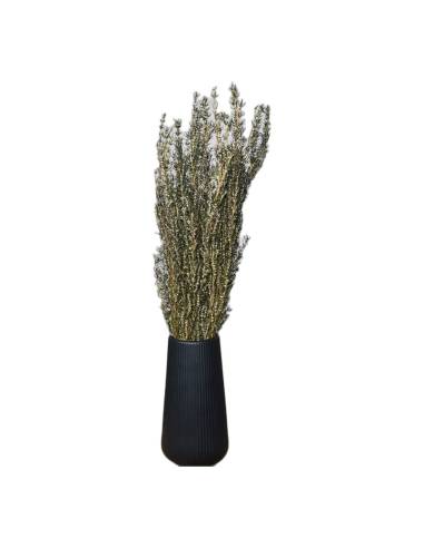 Grabia stabilisée naturel dans un vase posé sur un meuble