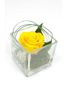 Cube déco rose éternelle Jaune nature