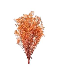 Gypsophile stabilisée orange, botte de tiges fleuries