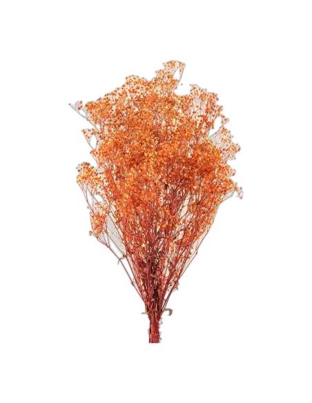 Gypsophile stabilisée orange, botte de tiges fleuries
