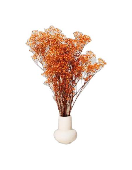 Gypsophile stabilisée orange, dans un vase sur une table basse