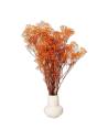Gypsophile stabilisée orange, dans un vase sur une table basse