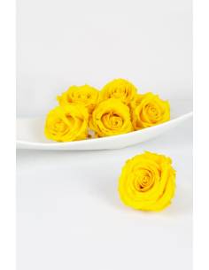 Bouton de rose stabilisée Jaune x 1