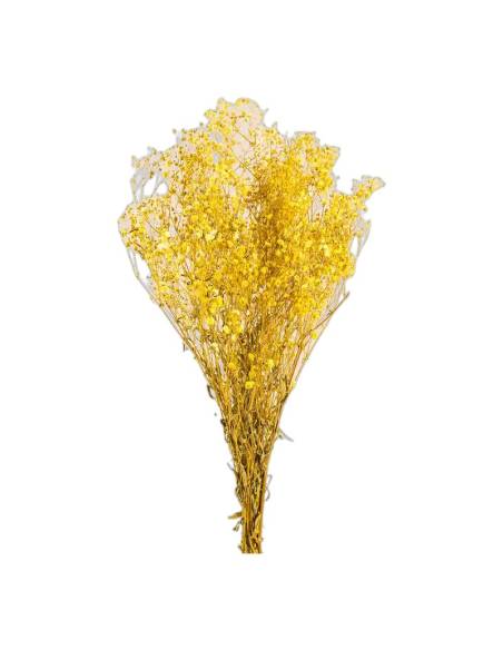 Gypsophile stabilisée jaune, botte de tiges fleuries