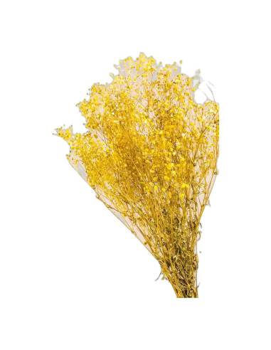 Gypsophile stabilisée jaune, botte de tiges fleuries