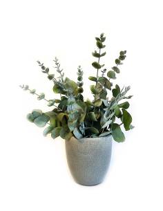 Atmo - Eucalyptus