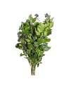 Botte de lierre Hedera arborea stabilisé, feuilles vertes brillantes et grappes de fruits sombres