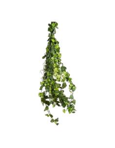 Botte de lierre stabilisé à petites feuilles suspendue, tiges vertes retombantes