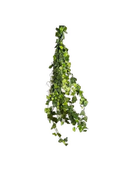 Botte de lierre stabilisé à petites feuilles suspendue, tiges vertes retombantes