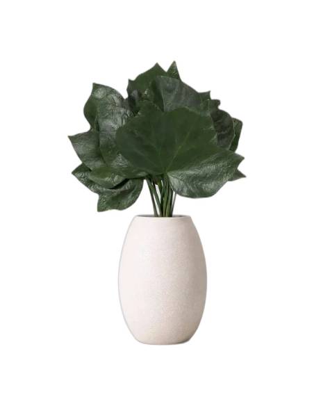 Lierre stabilisé à grandes feuilles dans un vase blanc