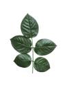 Rameau de cinq feuilles de rose stabilisées vert foncé