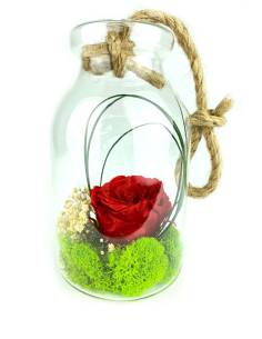 Suspension Bottle S rose Rouge