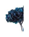 Gros plan sur les fleurons de l'hortensia stabilisé bleu