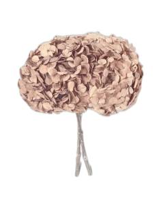 Hortensia stabilisé tête pleine noisette, tête entière sur sa tige, vue de face