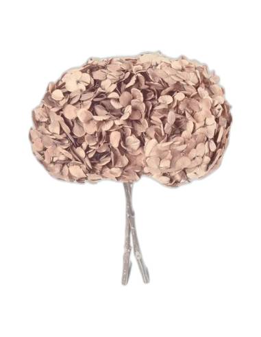 Hortensia stabilisé tête pleine noisette, tête entière sur sa tige, vue de face