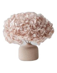 Hortensia stabilisé tête pleine noisette, tête entière sur sa tige, vue de face 2