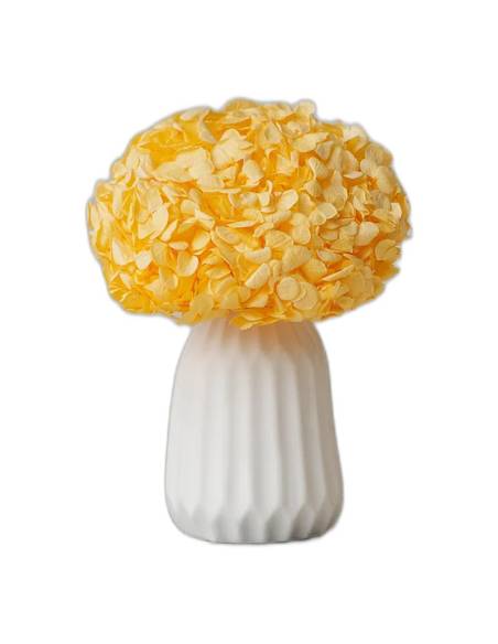 Hortensia stabilisé tête pleine jaune pâle, dans un vase blanc sur une table d'appoint