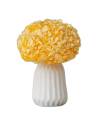 Hortensia stabilisé tête pleine jaune pâle, dans un vase blanc sur une table d'appoint