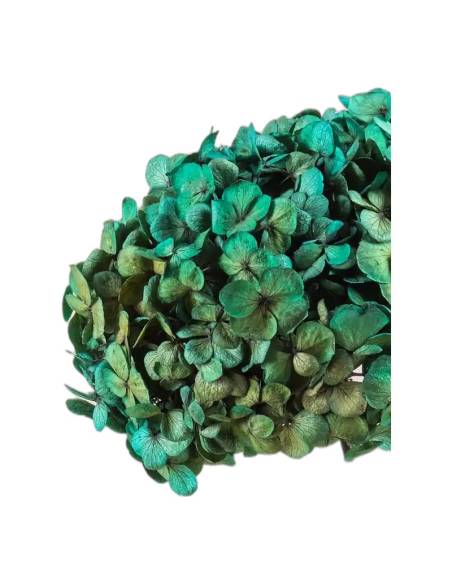 Détail des fleurettes de l'hortensia stabilisé Fusion