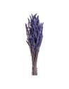 Botte de lavande stabilisée aux épis violet profond, tiges liées, sur fond clair