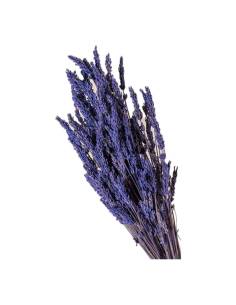 Botte de lavande stabilisée aux épis violet profond, tiges liées, sur fond clair 2