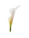 Mini calla stabilisé naturel blanc, vue de profil