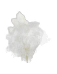 Botte de fougère Ming stabilisée blanche, ramifications vaporeuses