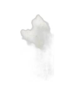 Botte de fougère Ming stabilisée blanche, ramifications vaporeuses 2