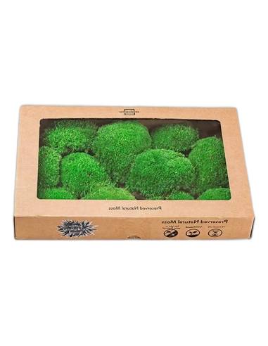Boîte kraft à fenêtre de mousse boule stabilisée verte