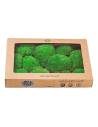Boîte kraft à fenêtre de mousse boule stabilisée verte