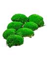 Touffes de mousse boule stabilisée verte, bombées, hors de la boîte